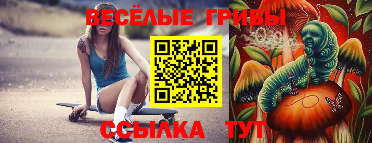 Псилоцибиновые грибы мицелий Старая Купавна