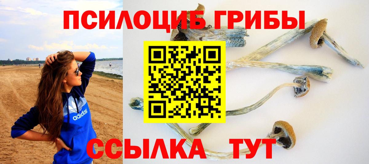 Галлюциногенные грибы ЛСД  Вход с VPN  Галлюциногенные грибы мухоморы  Старая Купавна 